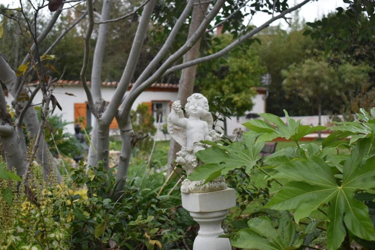L'Oranger - Magnifique Studio Independant Sur Mougins Avec Jacuzzi Prive - Parking - Climatisation 외부 사진